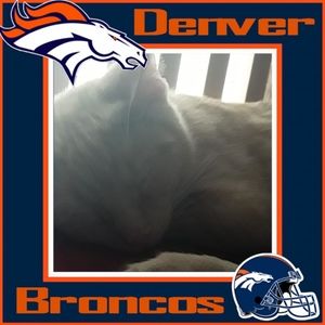 Meet your Posher, Gracelyn